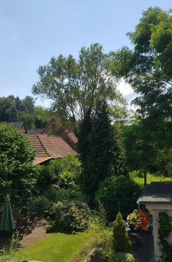 Gite A La Petite Fontaine-Plain Pied-Maison Alsacienne Renovee Avec Passion-4 Pers-4Nuitees Minimum Langensoultzbach Екстер'єр фото