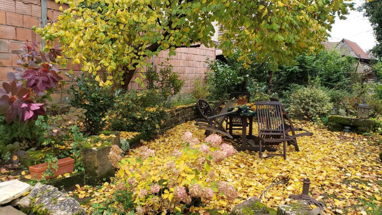 Gite A La Petite Fontaine-Plain Pied-Maison Alsacienne Renovee Avec Passion-4 Pers-4Nuitees Minimum Langensoultzbach Екстер'єр фото